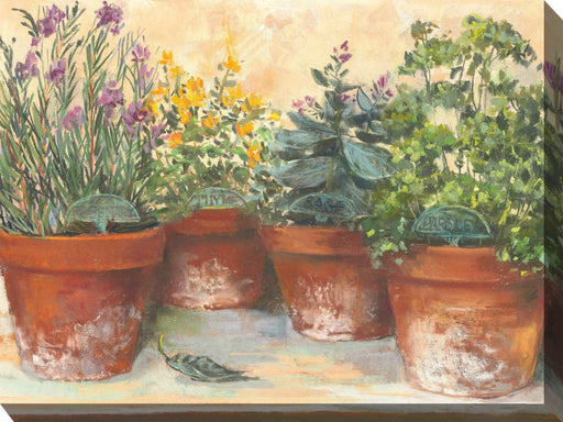 Outdoor Canvas Art 40x30 Herb Pots - My Backyard Decor