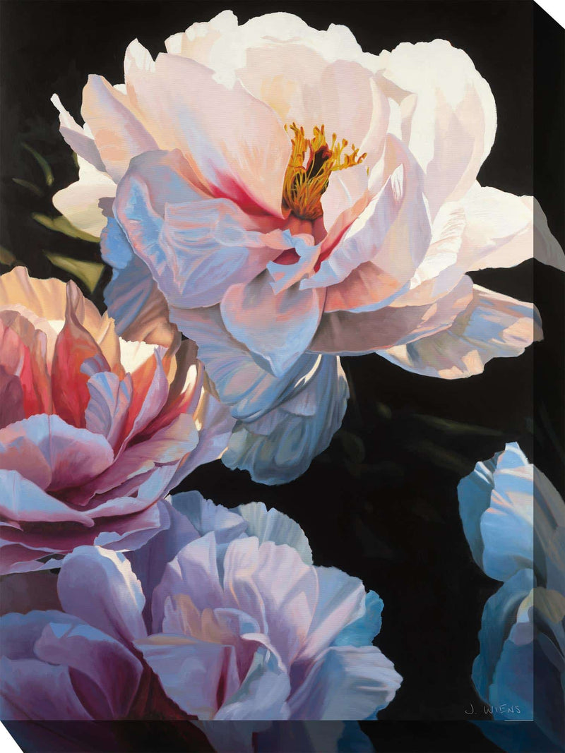 Outdoor Canvas Art 30x40 Blushing Beauty