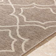 Rugs - Outdoor Rugs Alfresco - Camel & Cream